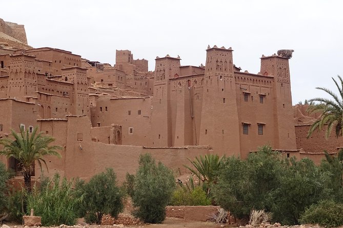 From Marrakech: Private Tour to Oasis and Trekking in the Desert of Erg Chigaga - Your Guide Setup: Driver Comfort and On-the-Ground Support