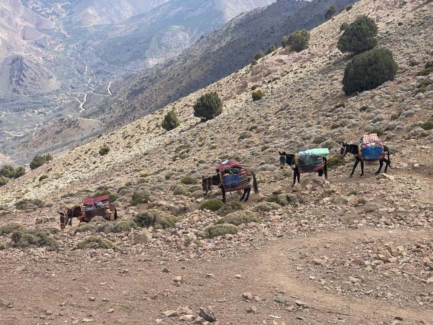 From Marrakech: Trek to Atlas Mountains, Full-Day Trip Lunch - Who should book this Atlas trek (and who might skip it)