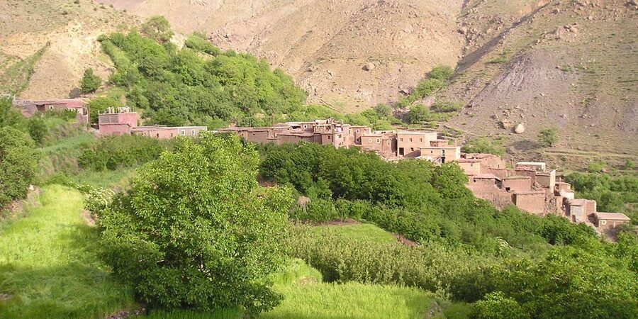 From Marrakech: Trek to Atlas Mountains, Full-Day Trip Lunch - Women’s argan oil cooperative: a short stop with practical value