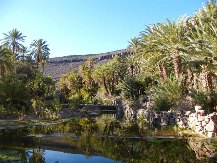 From Marrakesh: 2-Day Trek to Ait-Benhaddou and Ouarzazate - Overnight strategy: what you gain by sleeping near the kasbah