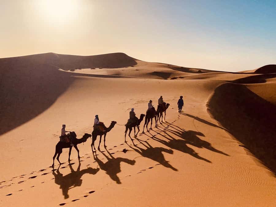 From Merzouga: Overnight Camel Trek over Erg Chebbi Dunes - What to Pack for Erg Chebbi Overnight Comfort