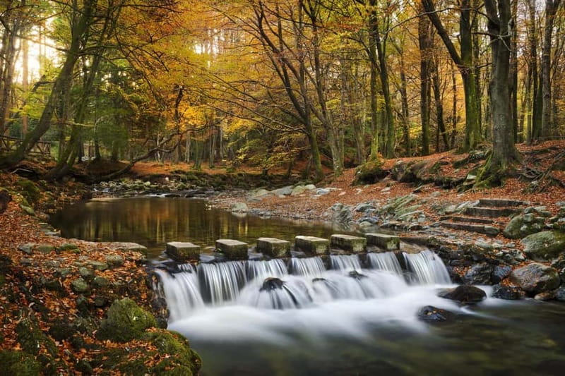 From Newcastle: Game of Thrones Tollymore Forest Trek - Key points worth knowing before you go