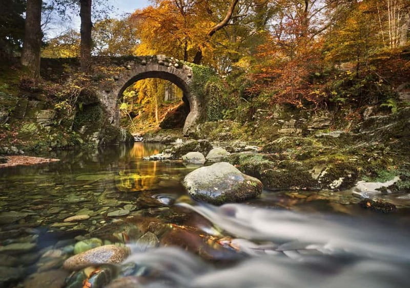 From Newcastle: Game of Thrones Tollymore Forest Trek - Stop 1: The opening prologue wildling pit scene