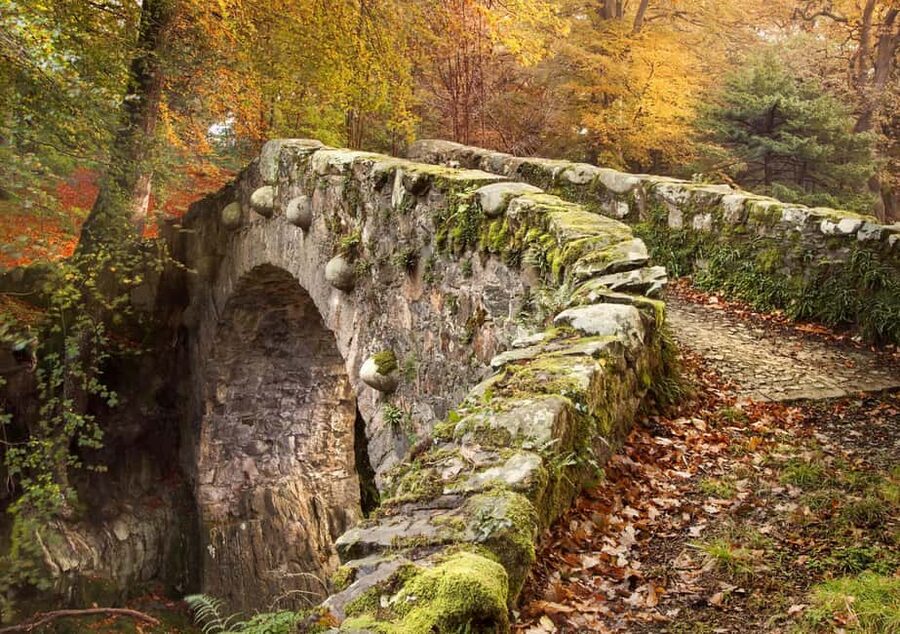 From Newcastle: Game of Thrones Tollymore Forest Trek - Stop 2: The Tyrion and Jon campfire conversation ground