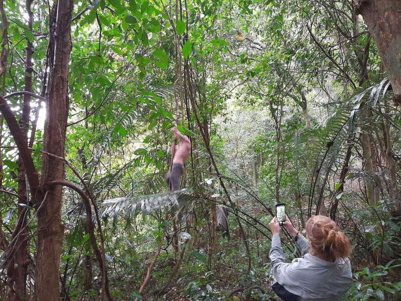 From Ninh Binh: Cuc Phuong National Park Trekking Day Tour - Key things I’d look for before you go