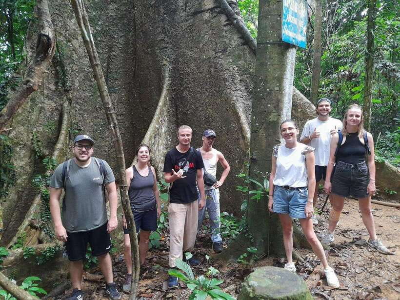 From Ninh Binh: Cuc Phuong National Park Trekking Day Tour - Pace, group size, and how to avoid the rushed feeling