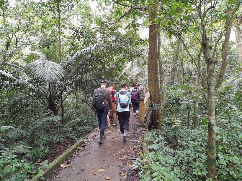 From Ninh Binh: Cuc Phuong National Park Trekking Day Tour - What to pack so the day feels easy