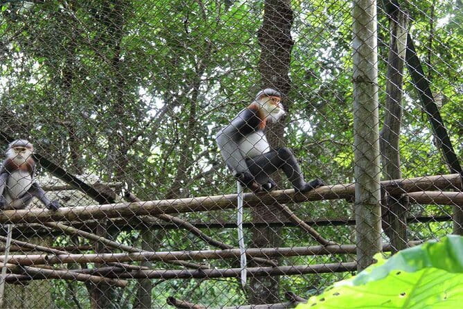 From Ninh Binh to Cuc Phuong National Park, Trekking and Jungle - Ninh Binh pickup to Cuc Phuong: quick start, clear timing