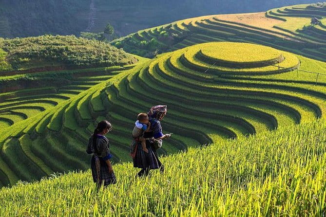 From Ninh Binh to Cuc Phuong National Park, Trekking and Jungle - Primary forest transfer and the Ancient Tree jungle hikes