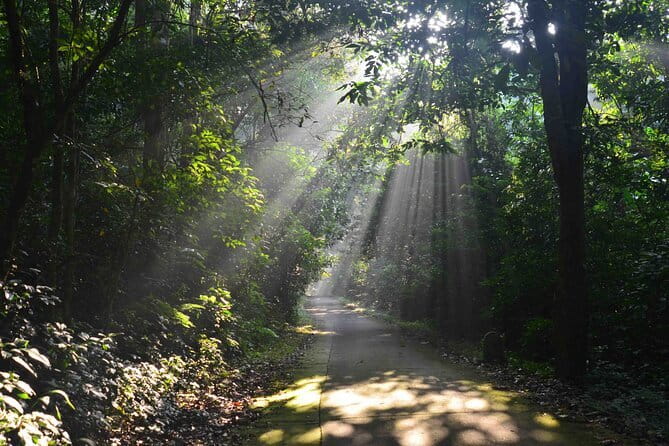 From Ninh Binh to Cuc Phuong National Park, Trekking and Jungle - Set Vietnamese lunch and a small-group pace