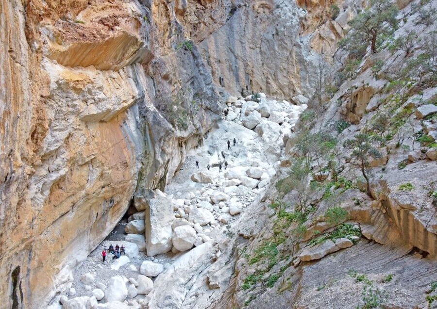 From Orosei or Dorgali: Trek to Gorropu with Panoramic Views - Monte Oddeu Cliffs: Reaching the Gorge Entrance Fast
