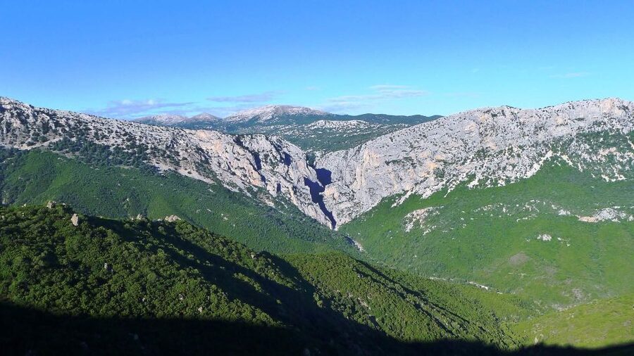From Orosei or Dorgali: Trek to Gorropu with Panoramic Views - Inside Gorropu: Jurassic Limestone, Fossils, and Plant Microclimates