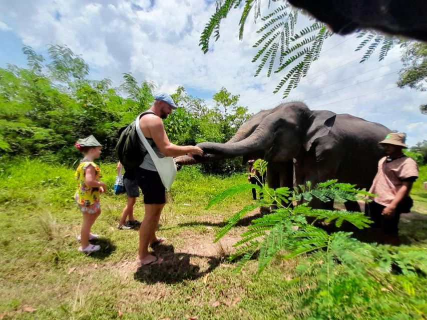From Phuket: Ethical Elephant Interactive Trek and Tour - Why the 10-person group size actually changes the experience