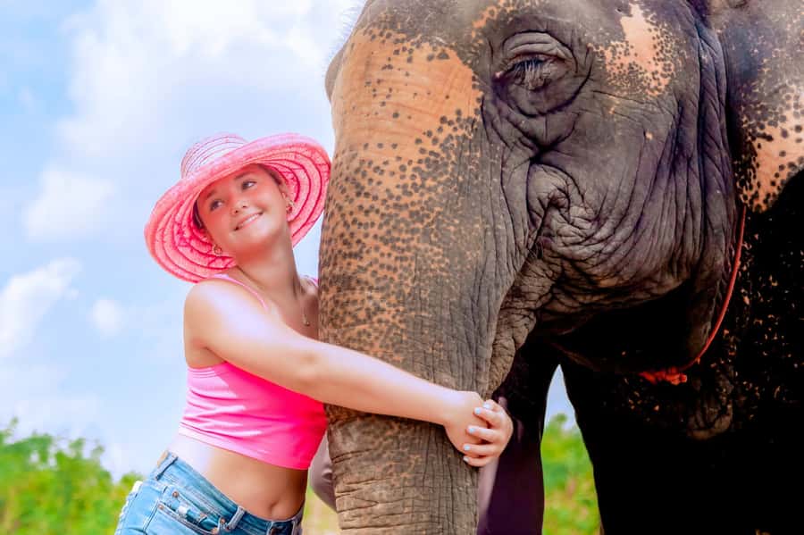 From Phuket: Ethical Elephant Interactive Trek and Tour - Lunch at around 11 AM: Pad Thai and home-cooked Thai comfort