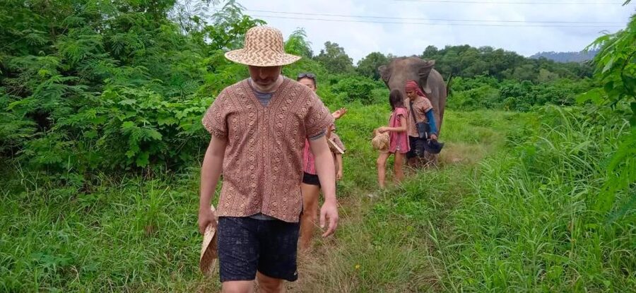 From Phuket: Ethical Elephant Interactive Trek and Tour - River bath and swimming: elephants at play, you helping with the care
