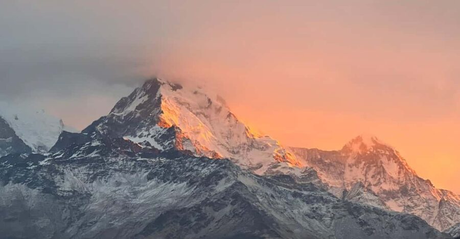 From Pokhara: 2 Day 1 Night Ulleri,Ghorepani Poon Hill Trek - Day 1: Ulleri to Ghorepani and the feel of a rainforest-style climb