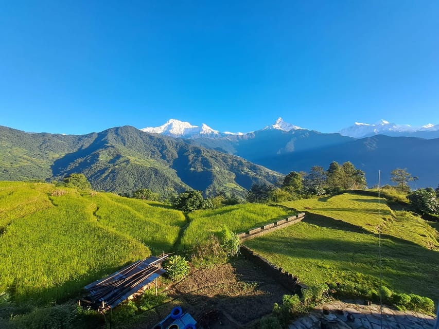 From Pokhara: 3-Day Ghorepani Poonhill Short Trek - Lodges, Meals, and Why Cash Matters on the Trail
