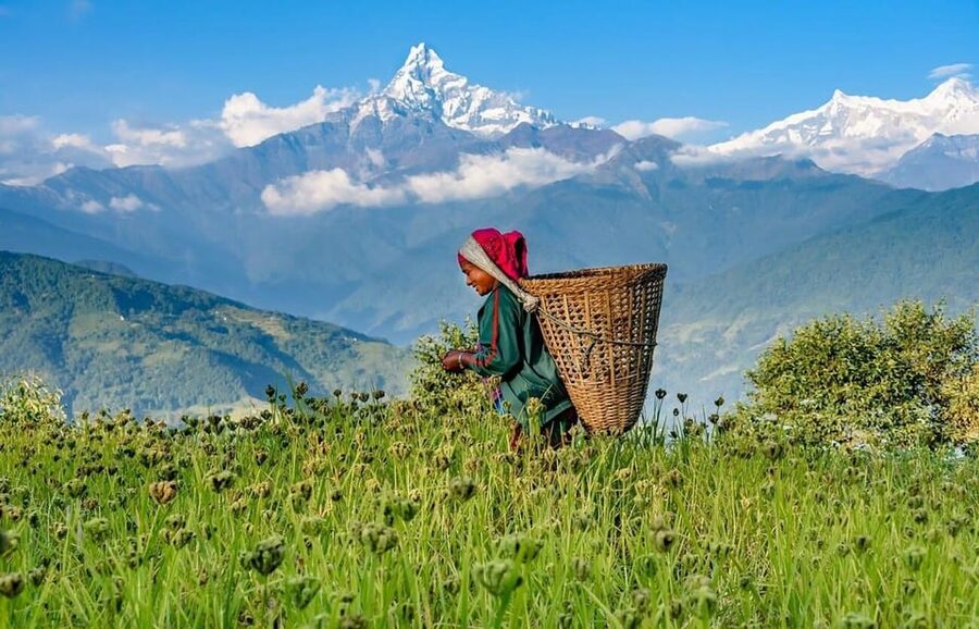 From Pokhara: 3-Day Ghorepani Poonhill Short Trek - What to Pack for a Short Trek That Starts Early