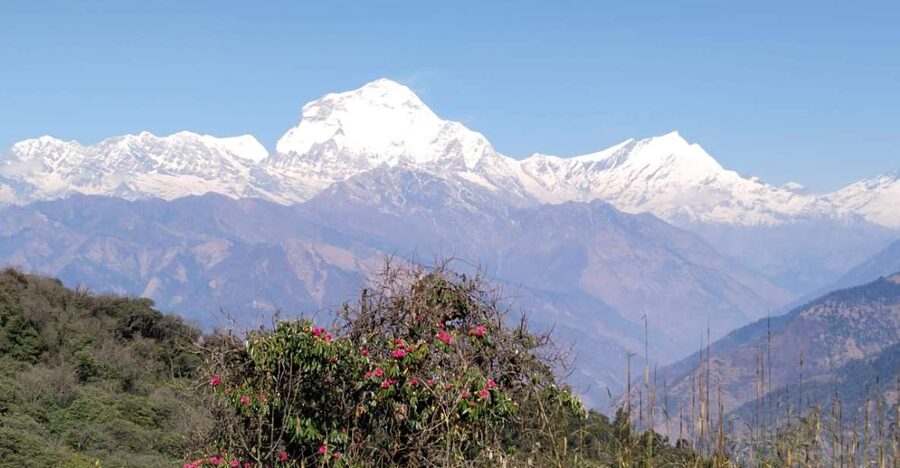 From Pokhara: 4-Day Annapurna and Poon Hill Himalayan Trek - Key Things That Make This Trek Worth Your Time