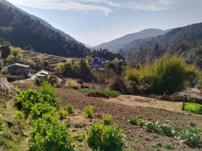 From Pokhara: 4-Day Annapurna and Poon Hill Himalayan Trek - Day 1: Pokhara Pickup, Drive to Ulleri, and Hike to Ghorepani