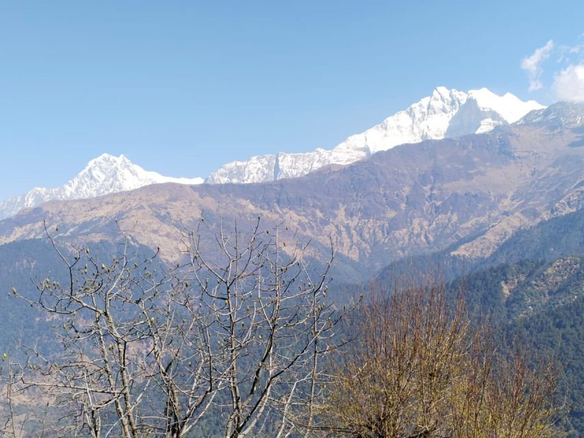 From Pokhara: 4-Day Annapurna and Poon Hill Himalayan Trek - Guides: What Good Local Leadership Looks Like