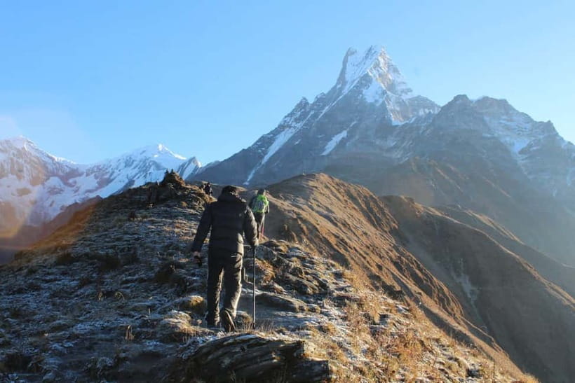 From Pokhara: 4-Day Mardi Himal Base Camp Trek - Day 2: Forest Camp to High Camp (3,580 m) Through Rhododendron and Oak