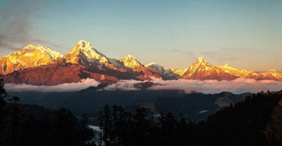 From Pokhara: 5-Day Annapurna Basecamp Trek with Hot Springs - Day 3: Deurali Toward Annapurna Base Camp at 4,130m