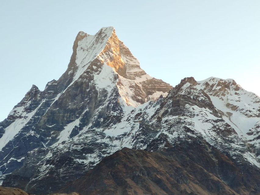 From Pokhara: 5-Day Annapurna Basecamp Trek with Hot Springs - Tea Houses, Meals, and What Your Night Actually Looks Like
