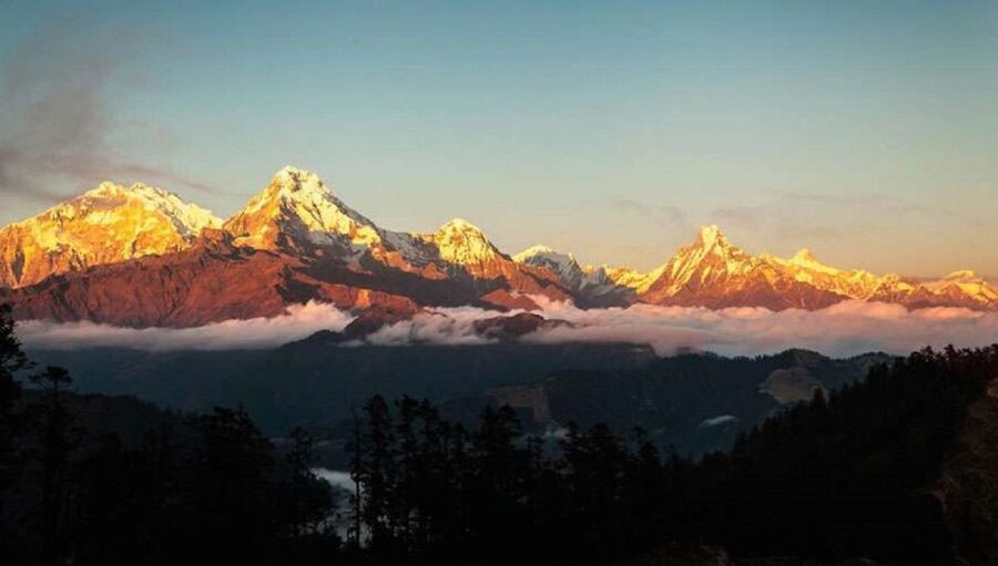 From Pokhara: 5-Day Annapurna Basecamp Trek with Hot Springs - Day 2: Rhododendron, Oak, and Bamboo to Deurali/Himalaya (around 2900m)
