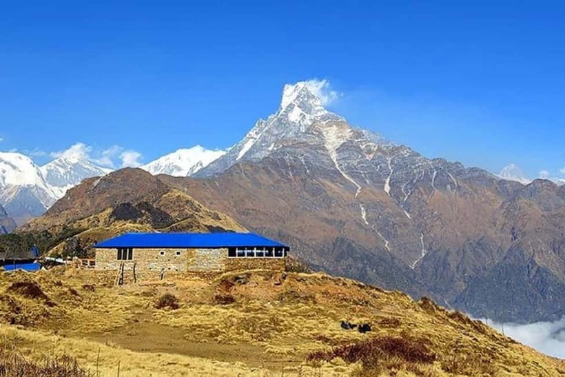 From Pokhara: 5-Day Mardi Himal Base Camp Trek - Day 4: Mardi Himal Base Camp, panoramic views, and sunrise time