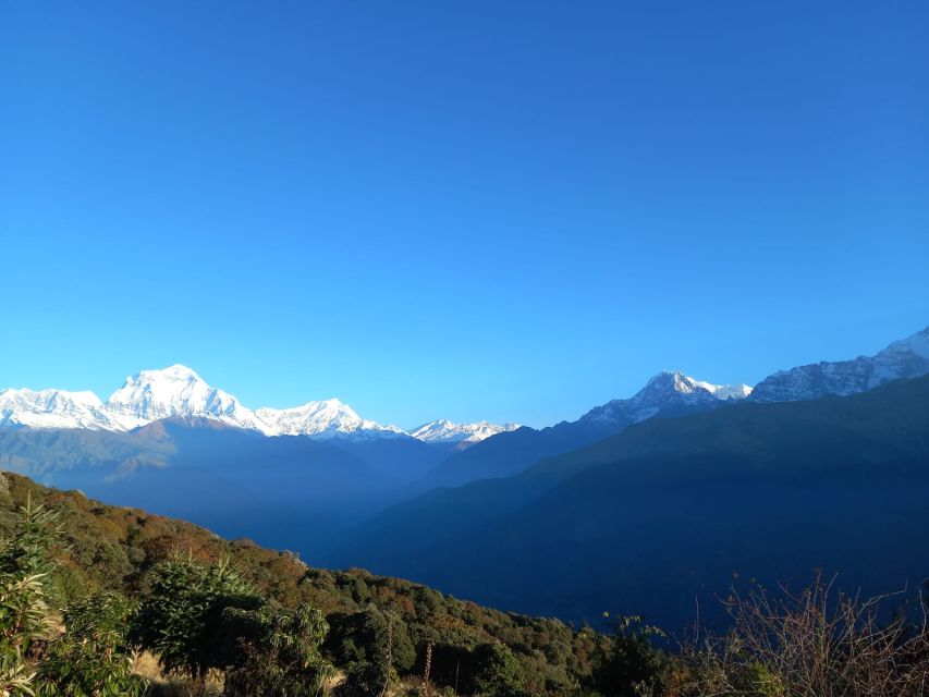 From Pokhara: Australian Camp & Dhampus 1, or 2-Day Trek - Key points before you go
