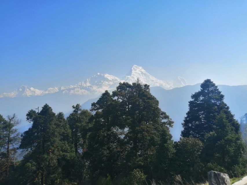 From Pokhara: Budget 2 Night 3 days Poon hill trek - Who should book this Poon Hill trek from Pokhara