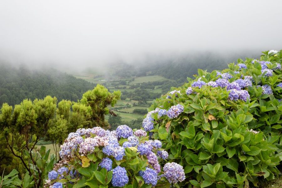 From Ponta Delgada: Vista do Rei to Sete Cidades Guided Trek - Lagoa das Sete Cidades and the west-coast perspective