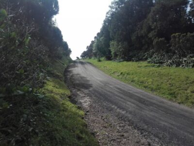 From Ponta Delgada: Vista do Rei to Sete Cidades Guided Trek - The craters: where the views really land