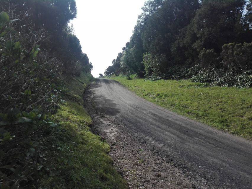 From Ponta Delgada: Vista do Rei to Sete Cidades Guided Trek - The craters: where the views really land
