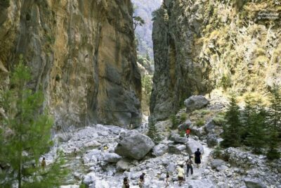From Rethymno: Samaria Gorge Full-Day Trek, Pickup & Guide - Pickup, Omalos Break, and How the Day Gets Organized