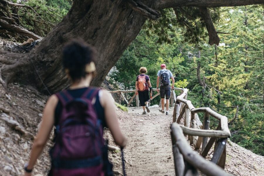 From Rethymno: Samaria Gorge Full-Day Trek, Pickup & Guide - Ferry to Sfakia and the Coach Back to Rethymno