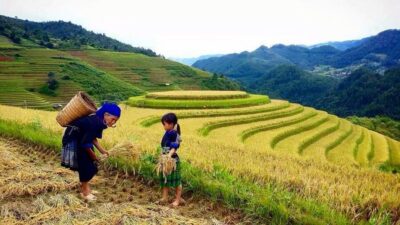 From Sa Pa: 5-Hour Muong Hoa Valley Trek and Ethnic Tribes - Lunch near the river: what’s included and what to plan for