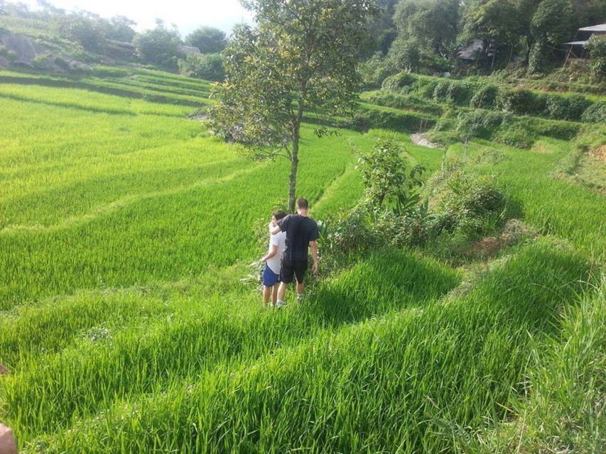 From Sa Pa: 5-Hour Muong Hoa Valley Trek and Ethnic Tribes - Guides and small groups: English support plus local know-how