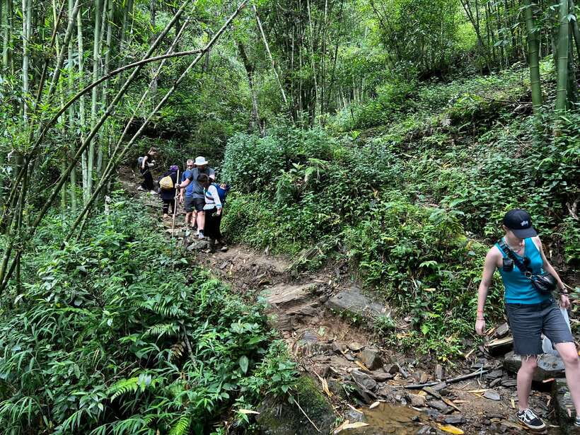 From Sa Pa: One Day Fansipan Mountain Trek - Fitness reality check: who should book this and who should skip it