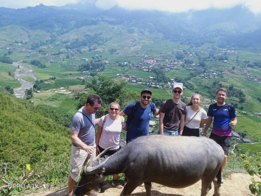 From Sapa : 1 Day Amazing Sapa Trek To Terrace rice field - Why This 6-Hour Sapa Terrace Trek Feels More Local Than Big Tours