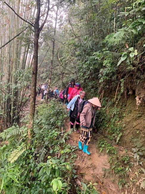 From Sapa : 1 Day Amazing Sapa Trek To Terrace rice field - Waterfall Breaks and Photo Stops: The Pace Builds in Breathing Room