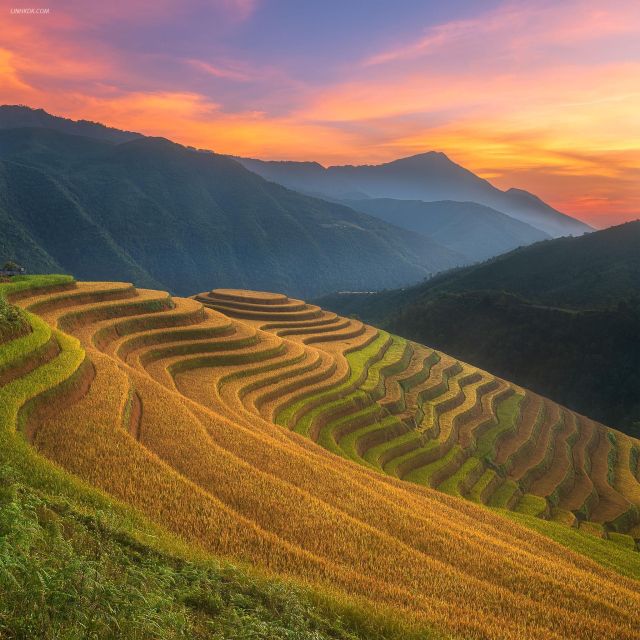 From Sapa: 1-Day Guided Trek to Lao Chai & Ta Van with Lunch - Muong Hoa–Y Linh Ho to Lao Chai: the part that makes the day click