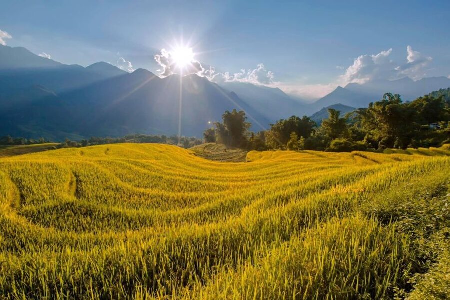 From Sapa: 1-Day Guided Trek to Lao Chai & Ta Van with Lunch - Lao Chai: Black Hmong village life and a lunch worth the climb