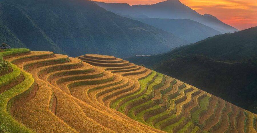 From Sapa: 1-Day Guided Trek to Lao Chai & Ta Van with Lunch - From your hotel lobby to the valley: the morning setup