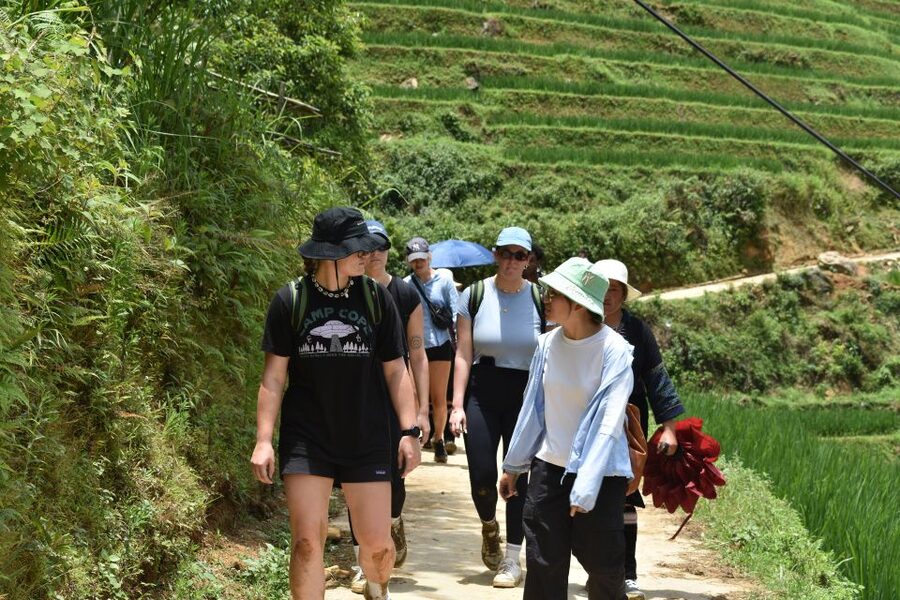 From Sapa: 1-Day Trekking through Terraces Rice Fields - Key Things to Know Before You Go