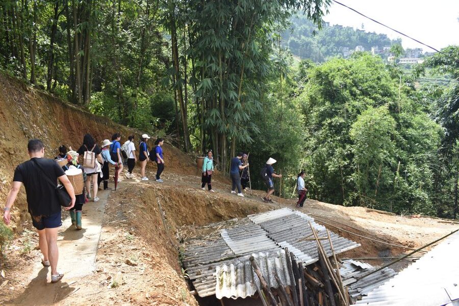 From Sapa: 1-Day Trekking through Terraces Rice Fields - Ta Van Village: Where Giáy, Red Dao, and H’mong Share Space