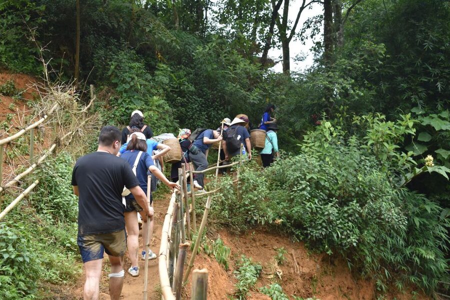 From Sapa: 1-Day Trekking through Terraces Rice Fields - Price and Time: Does $36 Really Deliver Value?