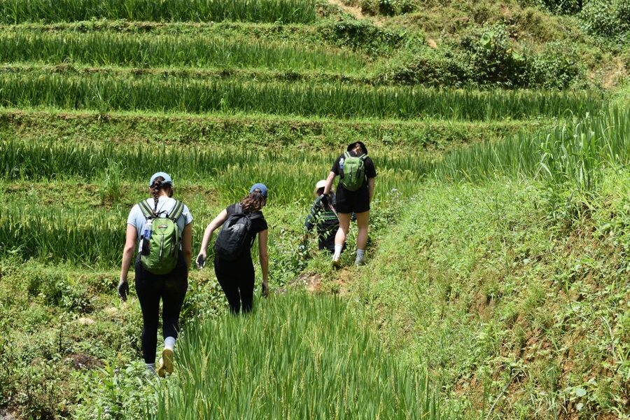 From Sapa: 1-Day Trekking through Terraces Rice Fields - What to Bring (and What Shoes Really Mean Here)