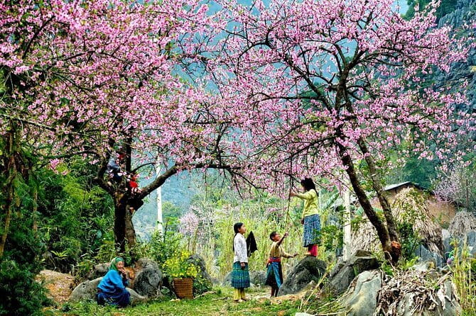 From Sapa: 2 Days 1 Night Trek Over Night At Homestay - Entering The Sapa Trek: What This Route Actually Delivers